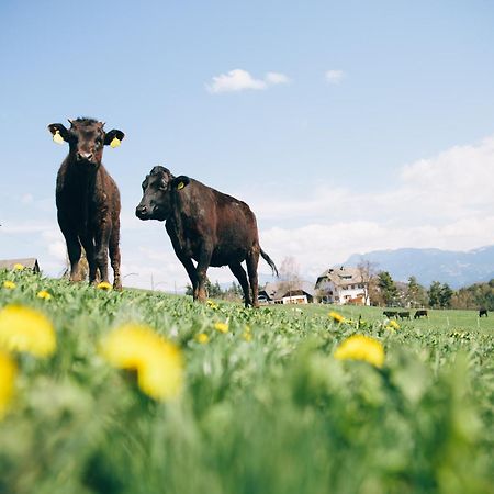 Alpin Farm Birke - Oberweidacherhof Collalbo Eksteriør bilde