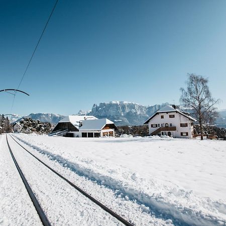 Alpin Farm Birke - Oberweidacherhof Collalbo Eksteriør bilde