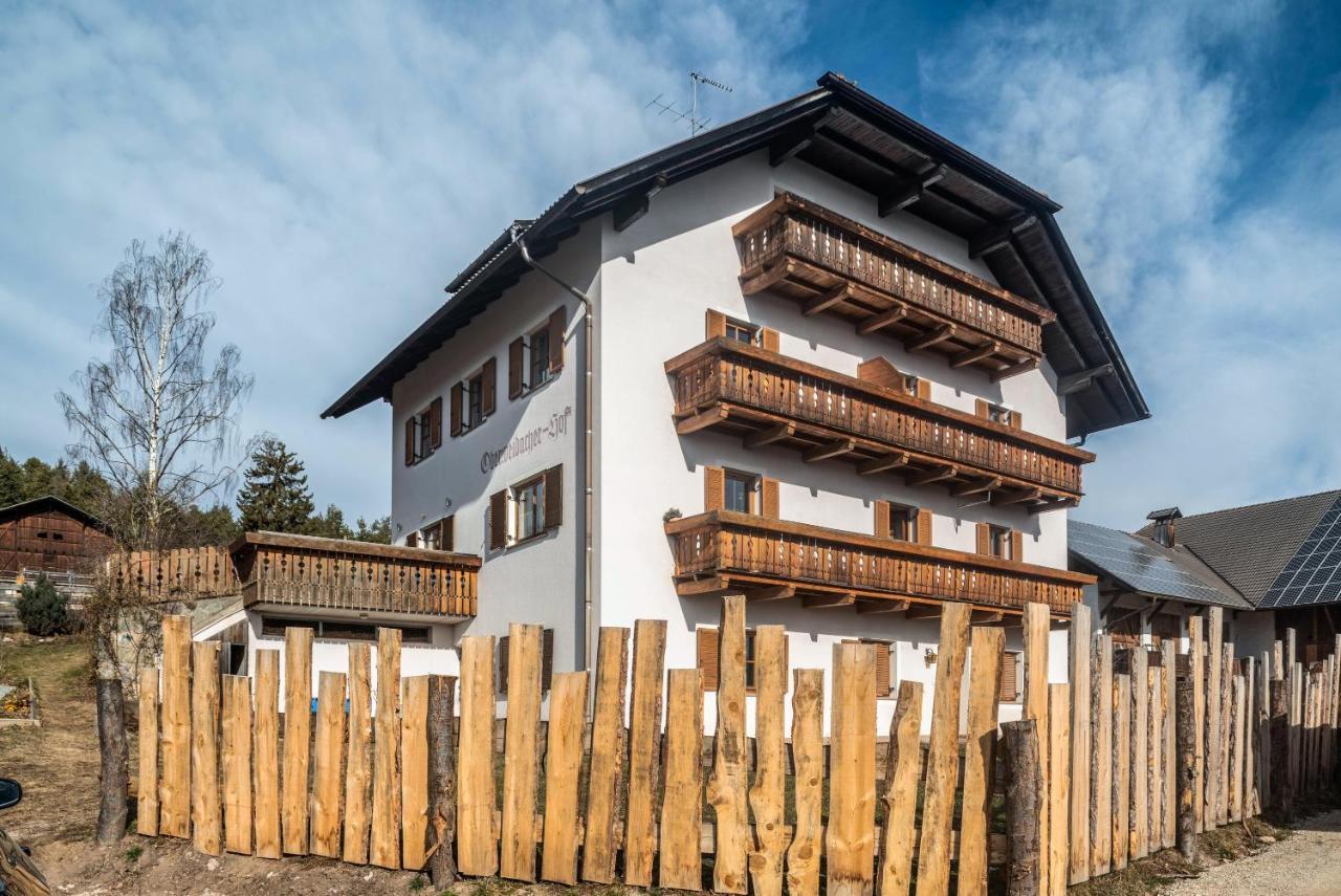 Alpin Farm Birke - Oberweidacherhof Collalbo Eksteriør bilde