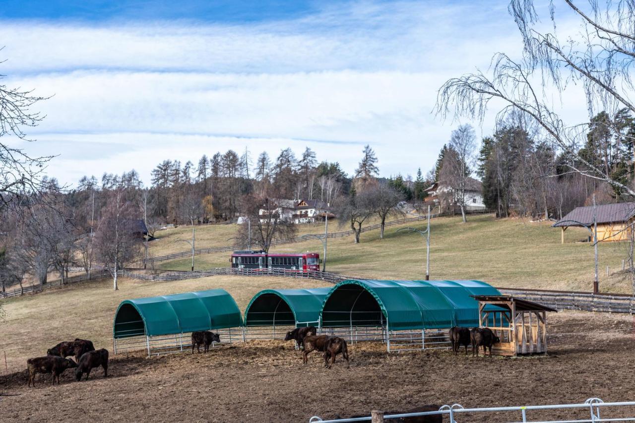 Alpin Farm Birke - Oberweidacherhof Collalbo Eksteriør bilde