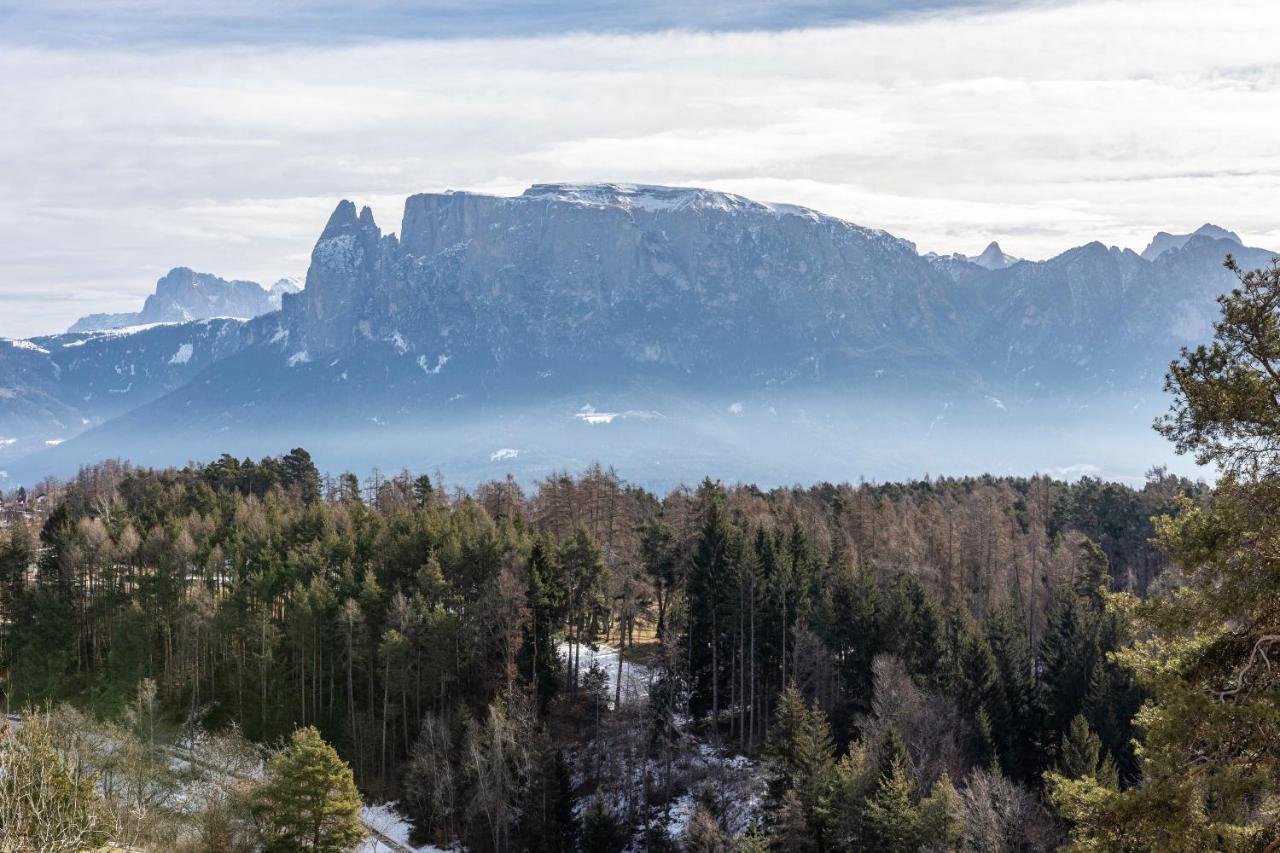 Alpin Farm Birke - Oberweidacherhof Collalbo Eksteriør bilde