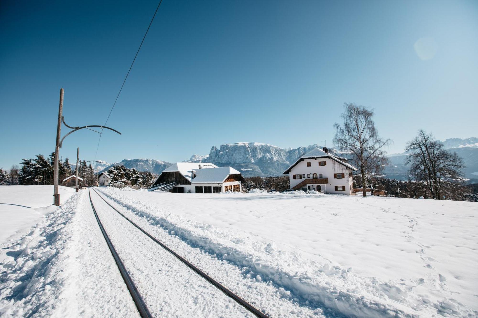 Alpin Farm Birke - Oberweidacherhof Collalbo Eksteriør bilde